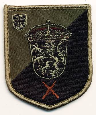 Patch 11./Home Defense Regiment 1 (HSchKp DONAUPFALZ), subdued, with velcro