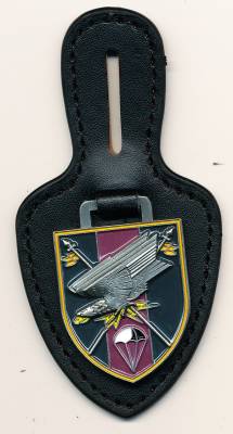 Pocket Badge Long Range Reconnaissance Company 1 SCHWARZENBORN, painted, Hummel