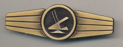 Tätigkeitsabzeichen Sicherungspersonal (alt), bronze, Metall