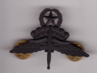 Fallschirmspringerabzeichen USA Freifaller, schwarz, Metall, master