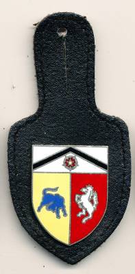 Pocket Badge Tank Destroyer Company 210 AUGUSTDORF, hard enamel, pinback, Zinn