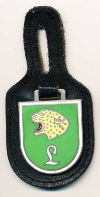 Pocket Badge Tank Destroyer Teach Company 90 MUNSTER, light green, hard enamel, no hallmark
