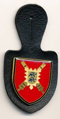 Brustanhänger Artillerieregiment 6 KELLINGHUSEN, Nadel, Andresen