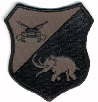 Aufnäher 5./Panzerbataillon 24, mit Klett