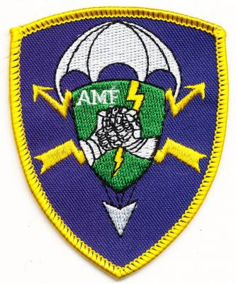 Aufnäher Luftlandefernmeldekompanie AMF(L) 9, Rand gelb, ohne Klett