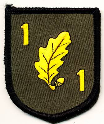Aufnäher 1./Jägerregiment 1, mit Klett