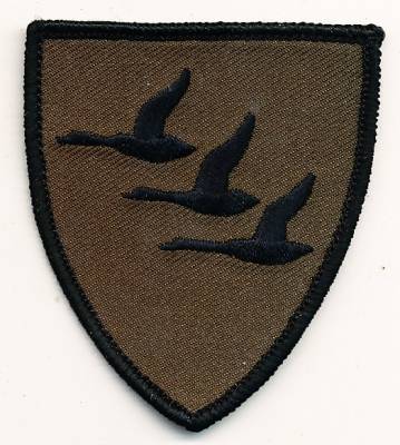 Aufnäher Luftwaffenausbildungsregiment tarn, ohne Klett