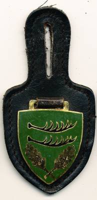 Brustanhänger Jägerbataillon 552 BÖBLINGEN, Feueremaille, Zinn