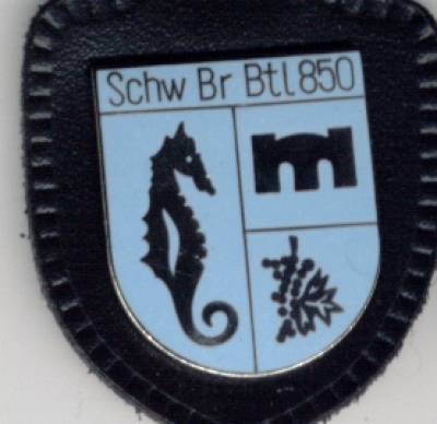 Brustanhänger Schwimmbrückenbataillon 850 silber, Feueremaille, Neumeyer