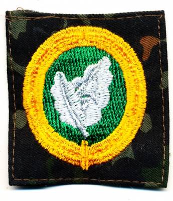 Sonderabzeichen Führer im Fallschirmjägerspezialeinsatz, farbig auf Flecktarn