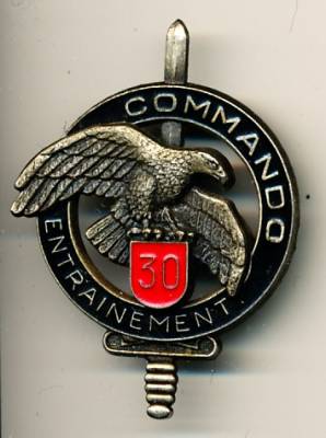 Metal Badge France, Commando Entrainement 30. Infantry Regiment, pinback, Delsart