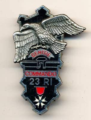Metal Badge France, Centre Commando 23rd Infantry Regiment, Delsart