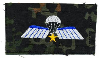 Fallschirmspringerabzeichen Niederlande, mit Stern, farbig auf Bw Flecktarn