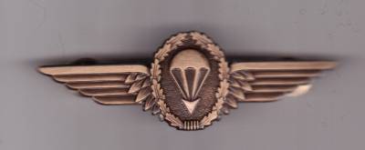 Fallschirmspringerabzeichen Deutschland, Metall, bronze, Originalgröße 75 mm breit