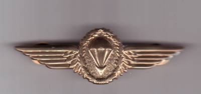 Fallschirmspringerabzeichen Deutschland, gold, Originalgröße 75 mm breit,