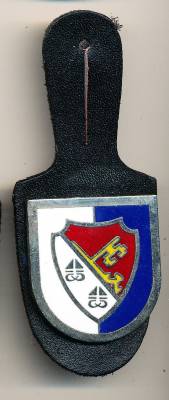 Pocket Badge Field Artillery Battalion 41 REGENSBURG, hard enamel, pinback, no hallmark