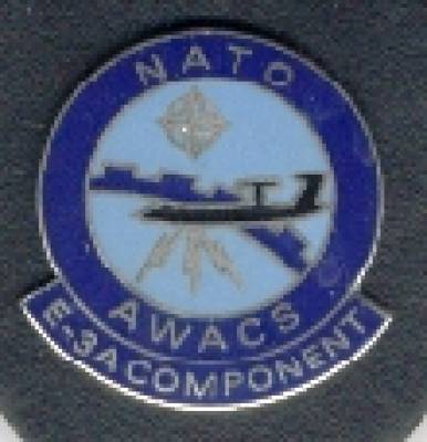 Brustanhänger NATO Awacs E-3A Component, Feueremaille, Stacheln