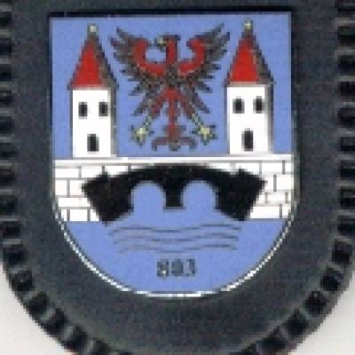 Brustanhänger Panzerpionierbataillon 803 Türme und Mauer weiß