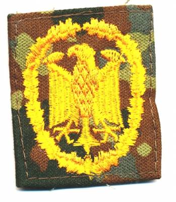 Leistungsabzeichen gold auf Flecktarn